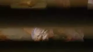 أورجي للنساء البدينات لا شيء سوى جنس قشدي