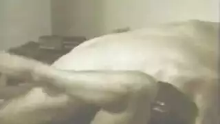 طبيب غريب محلول