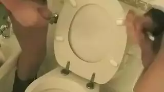 مثقوب الهرة بحار آسيا