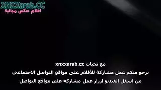 مص مكثف يركز على الخصيتين في مشهد صريح