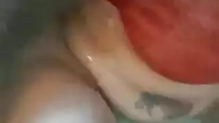 سكس طاعة لعب الحيوانات الأليفة