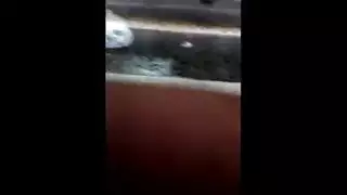 مني الشاذلي ممتلئة الجسم تأخذ قضيب إكس إكس إكس قاس بين ثدييها