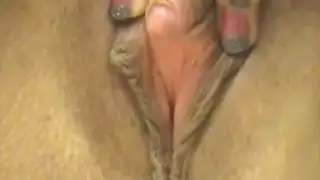العارسان۔زاب۔و۔طبون