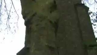 شبه حيواني: إباحية عنيفة وخام