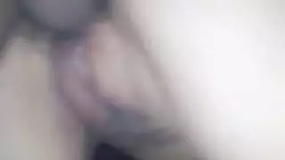 تشريح صريح: الكس العربي بالتفصيل