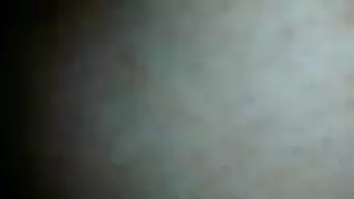 صعيدىfs7790r7g637