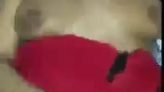 كس الأخت المصرية يمتلئ بالمني على أبو الهول
