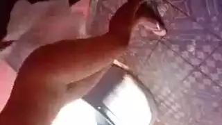 هل بعد السكسي تحمل الراءه