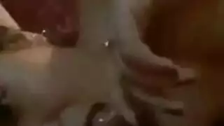 فطيرة كريمة شرجية لجيسي دولسي من قضيب أسود كبير