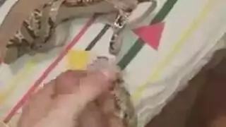 اللاتينية الغريبة تفتح فرجها العصير