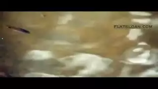 وحدة جميلة