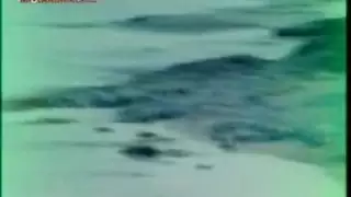 فعل قاسي كبير الحجم جماع بعضو ضخم