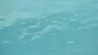 بما مصلخه في الحمام تضرب جلق