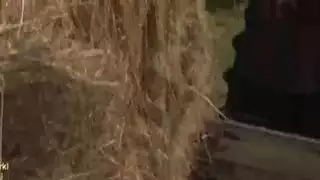 تكسير فتات ليلات أدخلا