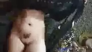 الرقص الشرقي يؤدي إلى قذف عميق داخل المهبل