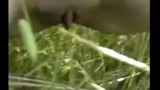 اغتصاب جماعي في الغابة لعاهرة فرنسية