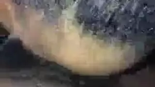 جميلة داكنة ممتلئة الجسم تبلغ النشوة على آلة شفط