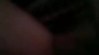جنس حيونات ابقار
