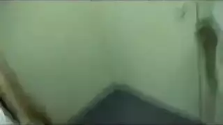 ولغدي