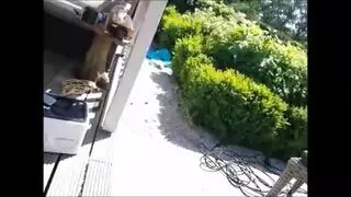 بنت تمصص كلب