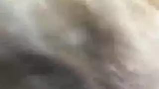 فتاة ممتلئة في قميص أخضر تمارس الجنس الصريح مع شاب محلي في فيلم إباحي