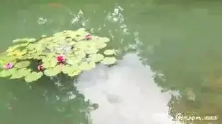تمتع بالضرب في هذه الرحلة