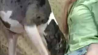 مشهد bestiality إكس إكس إكس: وضعية الكلب مع كلب حقيقي