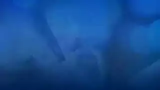 كريستي لوف في ساندويتش إكس إكس إكس: إيلاج مزدوج بقضيبين صلبين