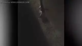 علاقة جنسية ثلاثية في مرحاض عام: فتاتان ورجل