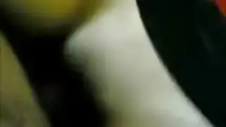 عرب عربي نيك
