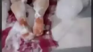 مصرية بتقوله أنا مشتاقالك