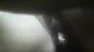 رجال مشعرون ماهرون يستعرضون قضبانهم الجلدية السميكة