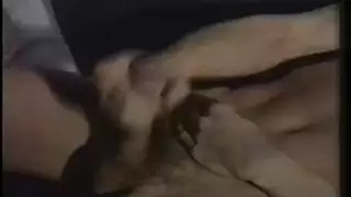 جميلات ذوات أثداء كبيرة تأخذ القضيب بين أثدائهن