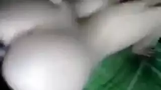 الجماع المثلي الإباحي الصريح في أوضاع صريحة