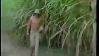 بخكاكي حظيرة: عاهرات مغطيات بالمني