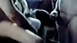 تزوج حيونات كلب