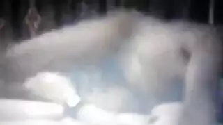 توليد نيسا