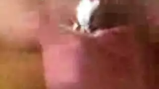 سكسي ولد ينيك امو وهي تقول لا