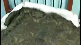 مال من أجل القذف الداخلي: كيلي تأخذ كل السائل المنوي