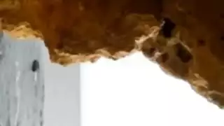 تونسية فاجرة تمص زب صديقها في الغار حتى القذف