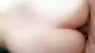 الحمار الكبير من أغنيس المحرث من قبل العربية