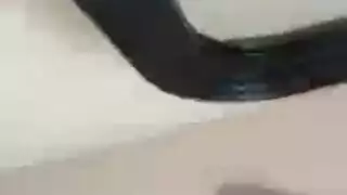 تسلّق عام: شاهد ميلف شهوانية تلمس نفسها