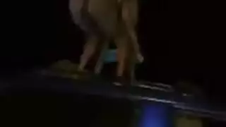 سكران ونشيط: حفلة نكاح ثلاثي جامحة