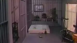 زنقها ف الفصل فشخها