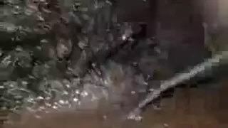 الفتيات يشاهدن بينما تُضرب بقضيب أسود كبير