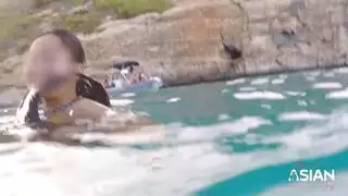 جنس صريح مكثف وحشي مع أبرز ممثلة إباحية منطلقة