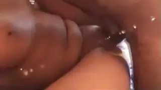 شرج بولندي مع فحول عرب