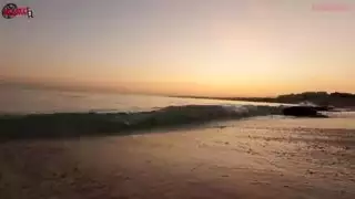 حركة منفردة في البحر الأحمر مداعبة قوية تحت الماء