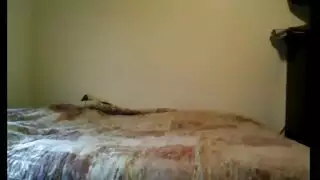 تشوف اخوها يشاهد الاباحيه وتجلخ
