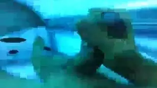 عاهرة ناضجة تتوسل لقضيب الشاب الغريب الكبير داخل جسمها